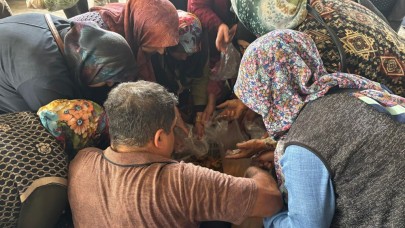 Pazarda izdiham yaşandı: Fiyatını duyan koşarak geldi!