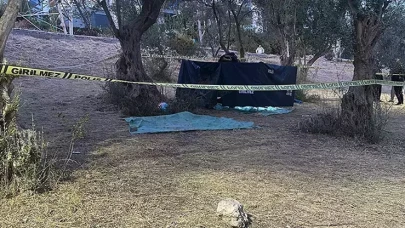 Zeytin ağacından düşen Erol Gül hayatını kaybetti!