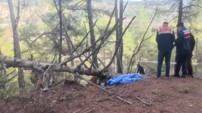 Manisa'da feci kaza: Ağaç keserken Yusuf Tanrıöver yaşamını kaybetti