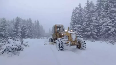Ordu'da kar esareti: 4 kişi için arama çalışmaları sürüyor!
