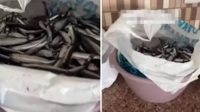 Balıkları pişirecekti,  poşeti açınca gördükleri karşısında şok oldu