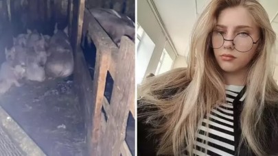 17 yaşındaki genç kızın domuz saldırısında hayatı son buldu