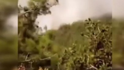 Hatay’da orman yangını: Havadan ve karadan müdahale