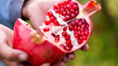 Narda zehirli maddeler olduğu gerekçesiyle AB'den iade edildi!