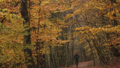 Belgrad Ormanı'nın İşletmesi devredildi!