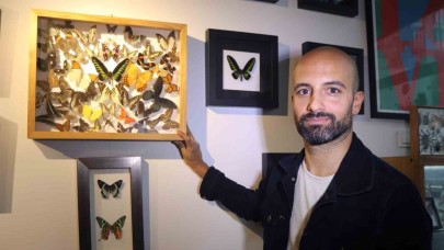 İzmirli Koleksiyonerin İlham Veren Kelebek Hikayesi!