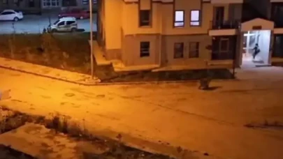 Kars’ta şehre inen boz ayı vatandaşı kovaladı