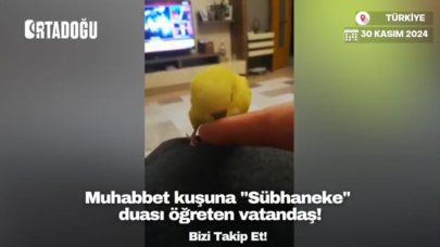 Muhabbet kuşuna 'Sübhaneke' öğreten vatandaş gündem oldu