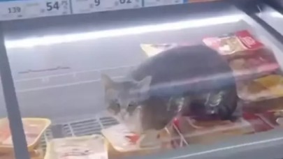 Zincir markette pes dedirten görüntü şaşırttı