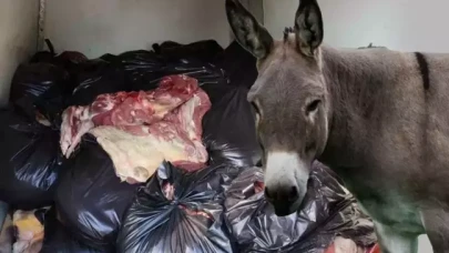 Vatandaşa en çok at ve eşek eti yediren 5 şehir paylaşıldı!