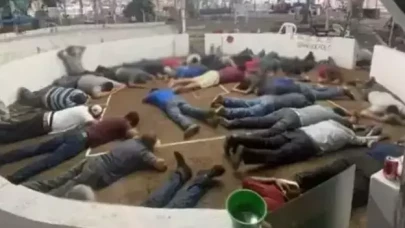 Horoz dövüşü sırasında öldürüldü!