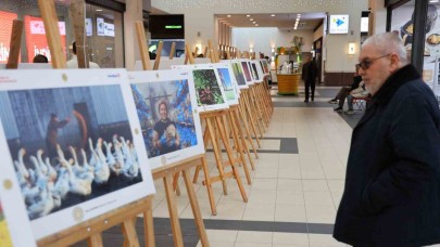 14. Uluslararası Tarım,  Orman ve İnsan Fotoğraf Sergisi Açıldı!