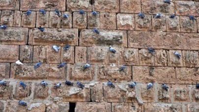 Hadrianus Kapısı: Tarih ve Doğanın Buluştuğu Eşsiz Mekan