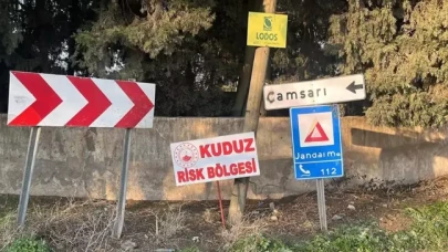 Hatay'da kuduz alarmı!