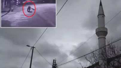 Barınaktan firar eden ayı şehri ayağa kaldırdı