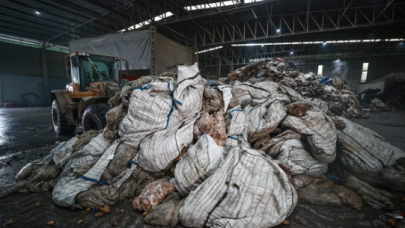 En çok tüketilen sebzede hastalık çıktı! 400 ton imha edildi