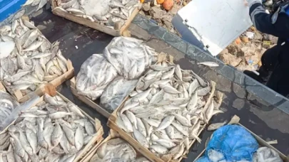 Hepsini vatandaşa yedireceklerdi! Kasa kasa imha edildi