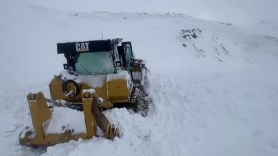 Ulaşıma kapanan yolu açmaya çalışırken çığ altında kaldı