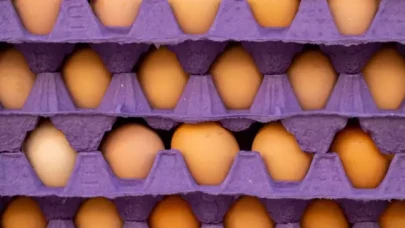 ABD Türkiye'den 15 bin ton yumurta alacak,  nedeni şaşırttı