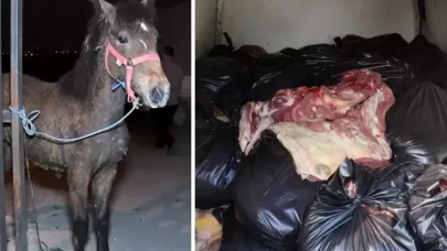 Gıda terörüne darbe: Bakanlık sahtekârları ifşa etti!