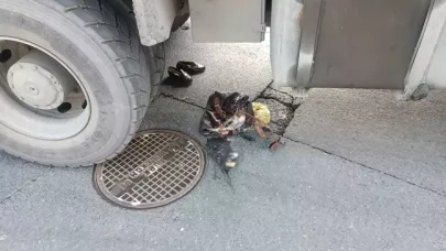 Hafriyat kamyonunun altında kalan yaşlı kadın hayatını kaybetti