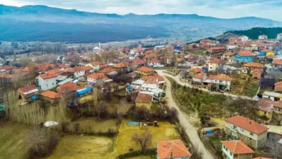 Türkiye'nin 2024 nüfus istatistikleri açıklandı: Bu 5 köyde yalnızca 1'er kişi yaşıyor!