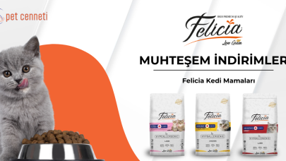 Felicia Kedi Maması ile Kedinizin Beslenme Kalitesini Zirveye Taşıyın