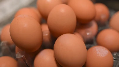 ABD'de kuş gribi salgını yumurta fiyatlarını etkiledi