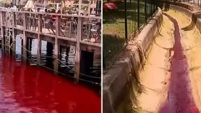 Nehir aniden kırmızıya dönüştü,  kimse ne olduğunu anlamadı