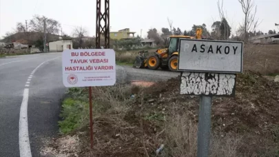 Hatay’da kuş gribi alarmı!