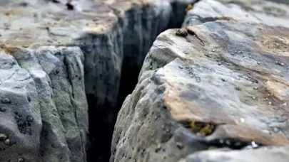 Alman bilim insanlarından Türkiye için endişelendiren keşif!