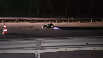 TEM'de yolun ortasında yatan kişiyi ezdi,  acı gerçek sonradan ortaya çıktı