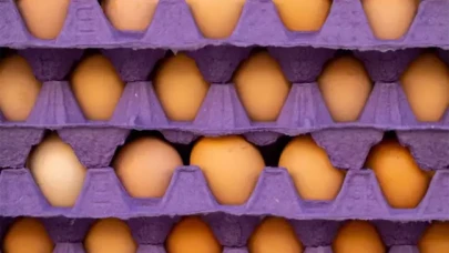 ABD Tarım Bakanı ülkedeki yumurta krizi eleştirilerini "Türkiye" açıklamasıyla yanıtladı