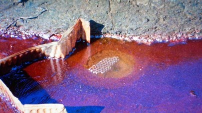 Salt Beyoğlu’nda "Bu Son Şansımız mı?" Gösterim Programı Başlıyor!