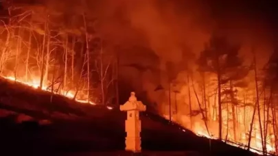 Güney Kore'deki orman yangınlarında ölü sayısı 18'e yükseldi