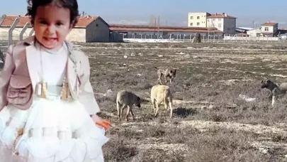 Köpek saldırısında hayatını kaybeden  Rana'nın Adli Tıp raporu çıktı!