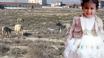 Rana Bebeğin ailesinden skandal iddialara yalanlama!