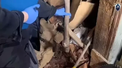 Bakmaya gücüm yok diyerek üç çocuğunu baltayla doğradı