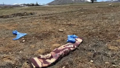 72 yaşındaki adam başıboş sokak köpekleri tarafından öldürüldü