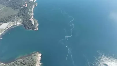 İstanbul'da müsilaj yeniden ortaya çıktı