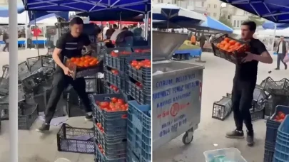 Domatesleri çöpe döken pazarcıya şok ceza