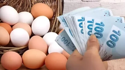 Yumurta fiyatı 9 ayda iki katına çıktı
