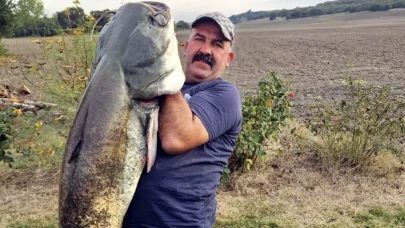Tekirdağ’da amatör balıkçı 70 kiloluk yayın balığı yakaladı