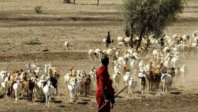 Senegal’de Rift Vadisi Ateşi salgını büyüyor: Ölü sayısı 25’e yükseldi