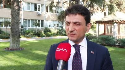 İstanbul kahverengi kokarcayla mücadeleye geçti