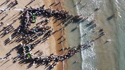 Muğla’da tedavileri tamamlanan 15 deniz kaplumbağası doğaya salındı