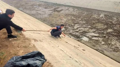 Batman'da yavru köpek operasyonu