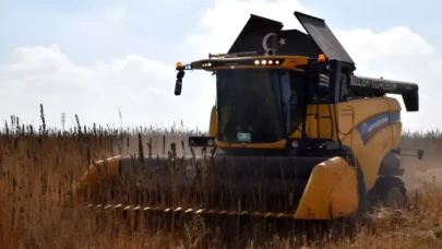 Konya Ovası'nda kenevir hasadı heyecanı