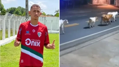 Başıboş inekler, genç futbolcunun sonu oldu