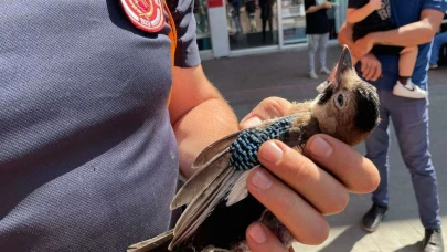 Bursa’da gölette mahsur kalan yabani kuş kurtarıldı